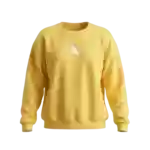 Various oversized and fitted hoodies for women